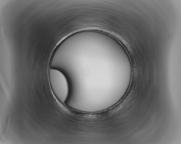 X0000116681521200912140955