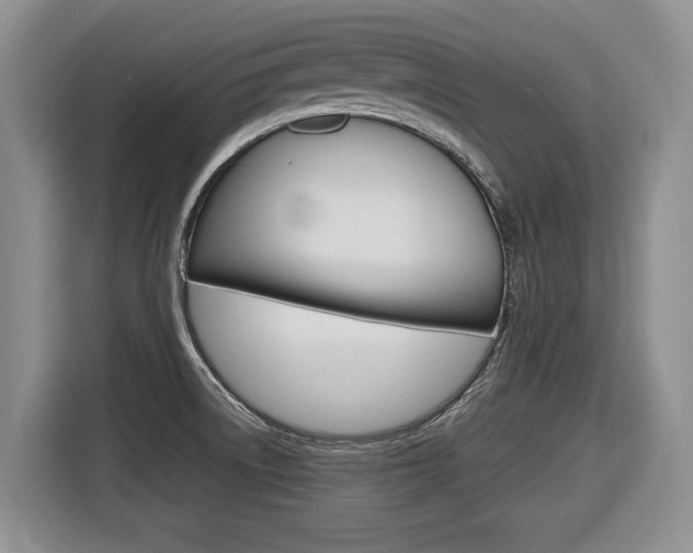 X0000116681522200912140955