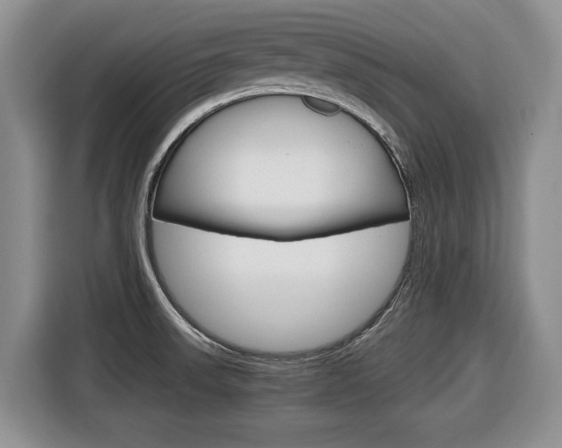 X0000116681523200912140955