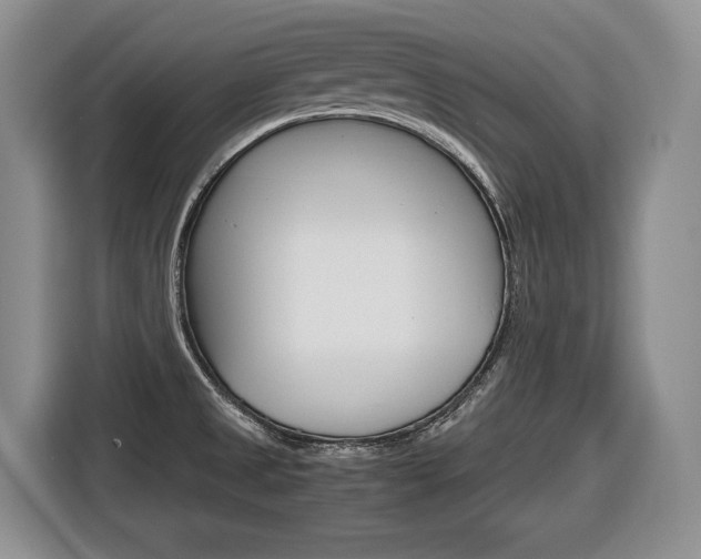 X0000116681525200912140955