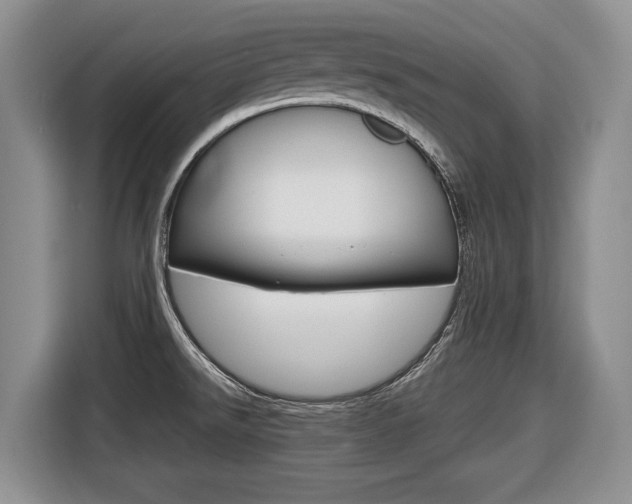 X0000116681526200912140955