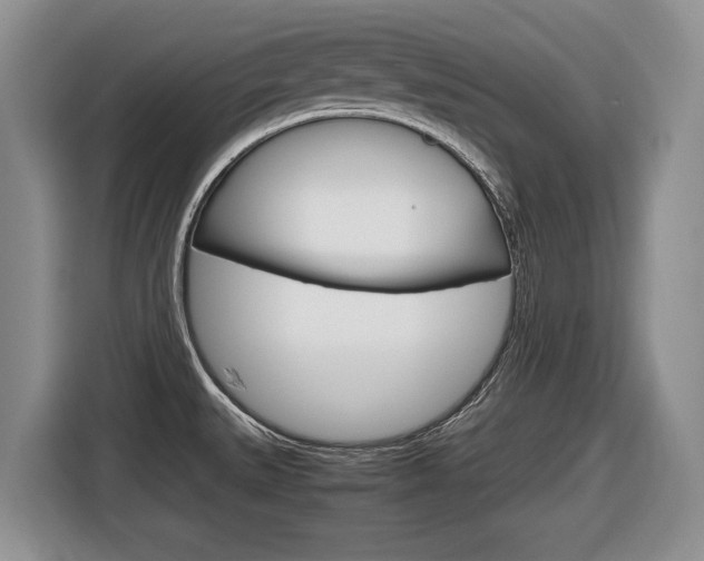 X0000116681527200912140955