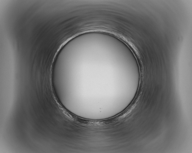 X0000116681529200912140955