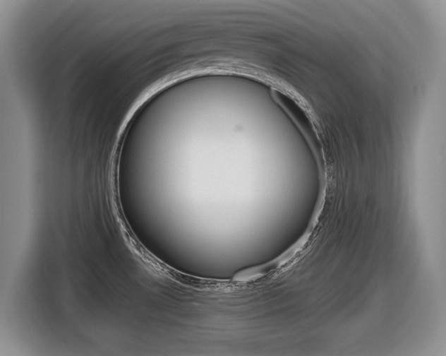 X0000116681530200912140955