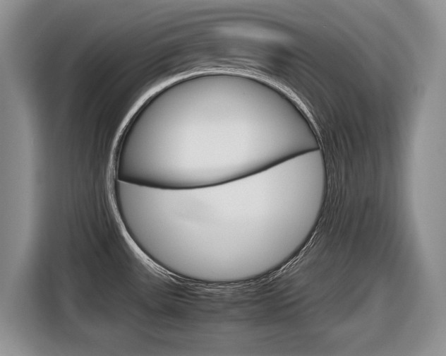 X0000116681531200912140955