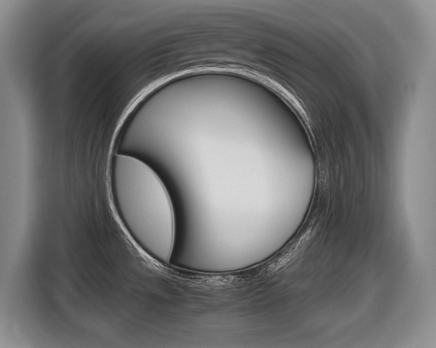 X0000116681533200912140955