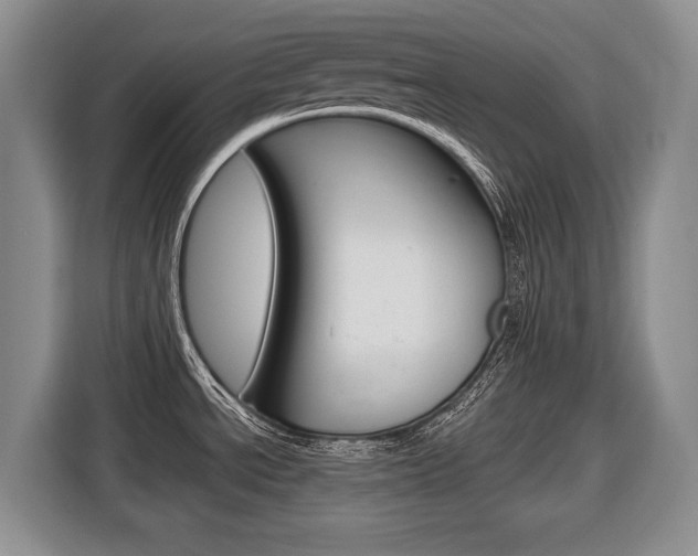 X0000116681534200912140955
