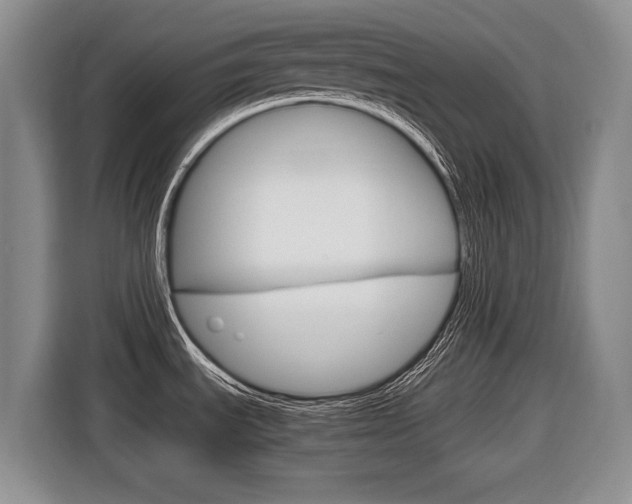X0000116681535200912140955