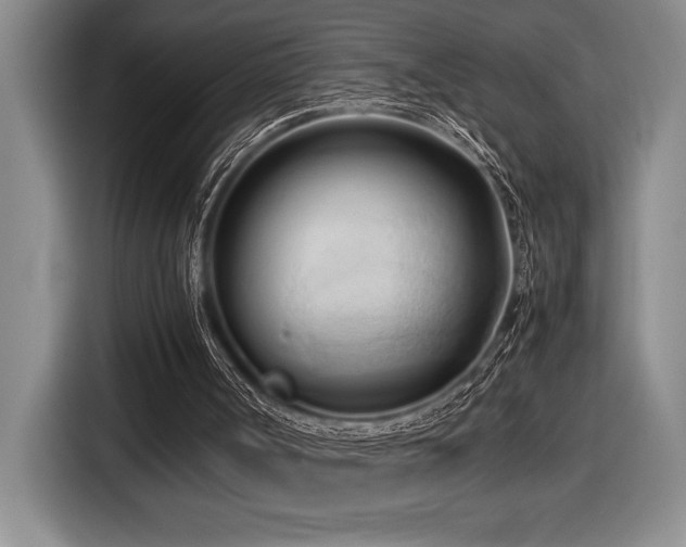 X0000116680002200912141441