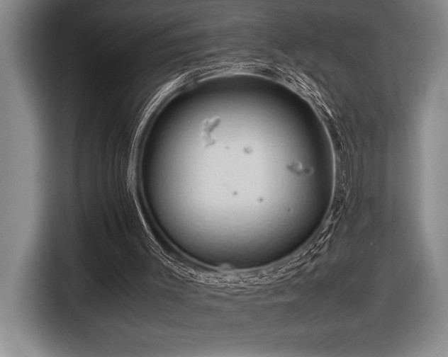 X0000116680003200912141441