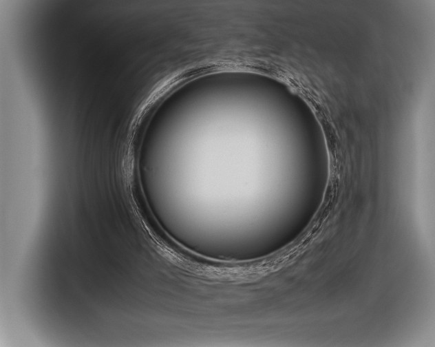 X0000116680005200912141441