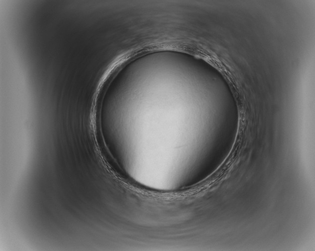 X0000116680006200912141441