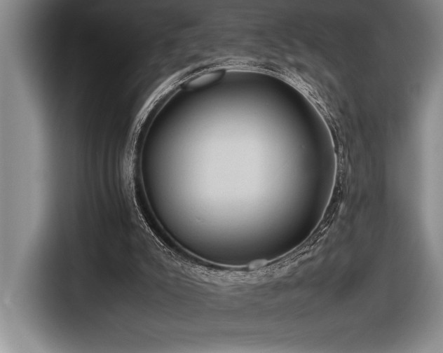 X0000116680007200912141441