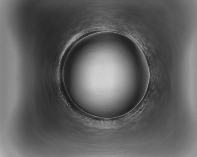 X0000116680008200912141441