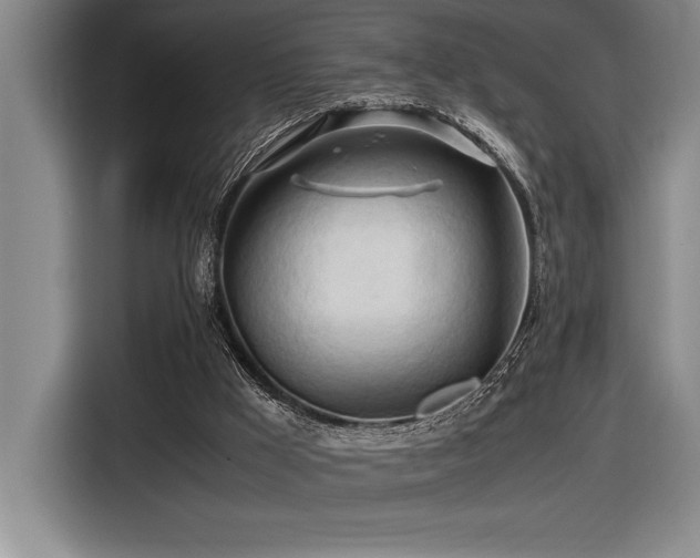 X0000116680009200912141441