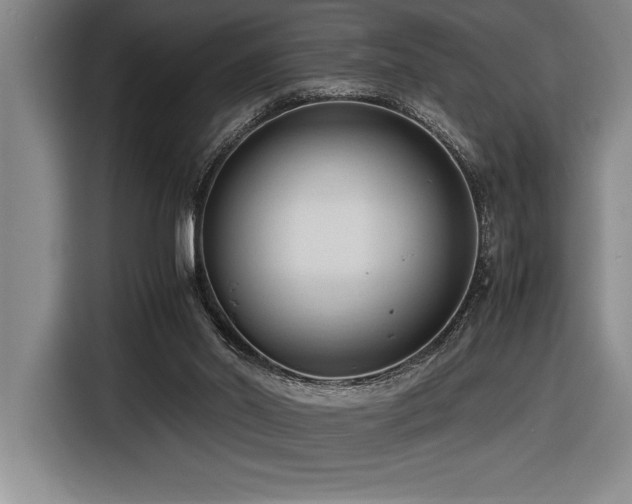 X0000116680014200912141441