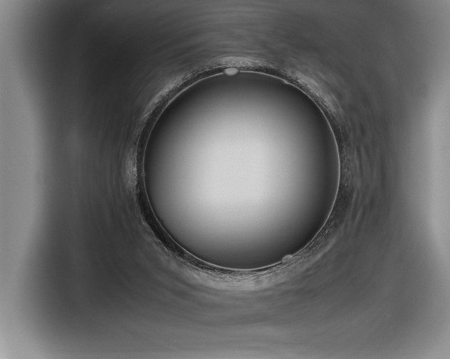 X0000116680015200912141441