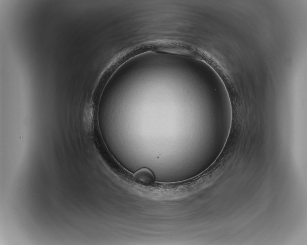 X0000116680016200912141441