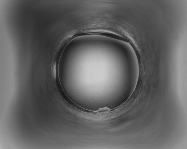 X0000116680019200912141441