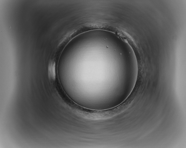 X0000116680020200912141441