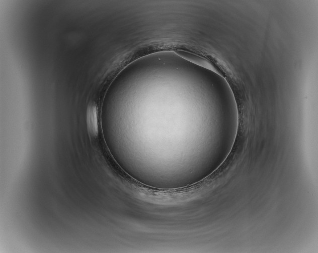 X0000116680022200912141441