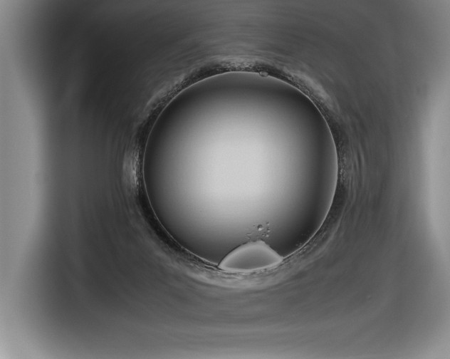 X0000116680023200912141441