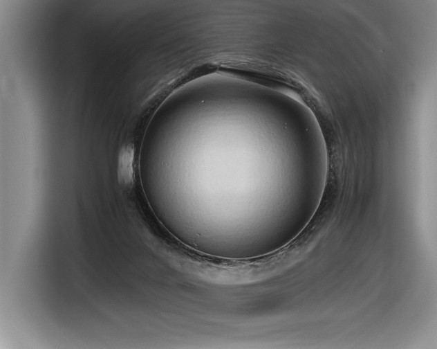 X0000116680024200912141441