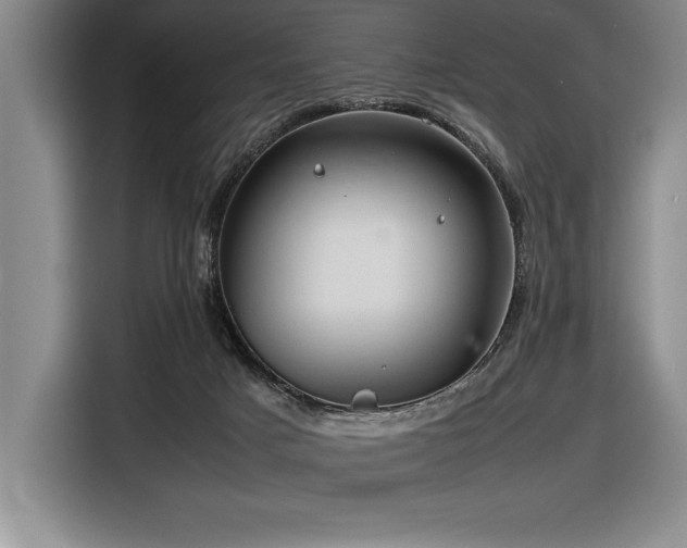 X0000116680025200912141441