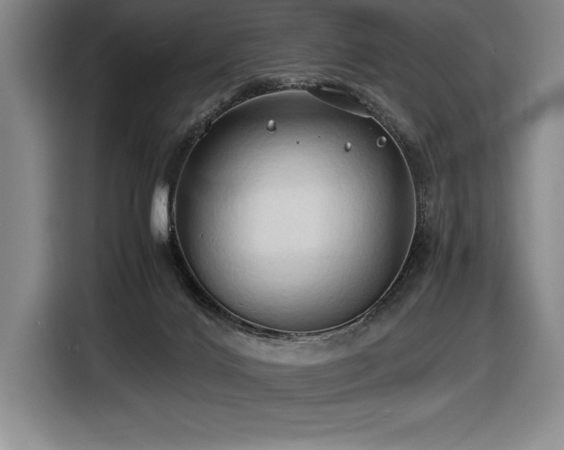 X0000116680028200912141441