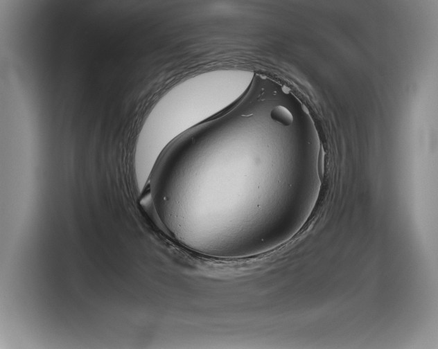 X0000116680029200912141441