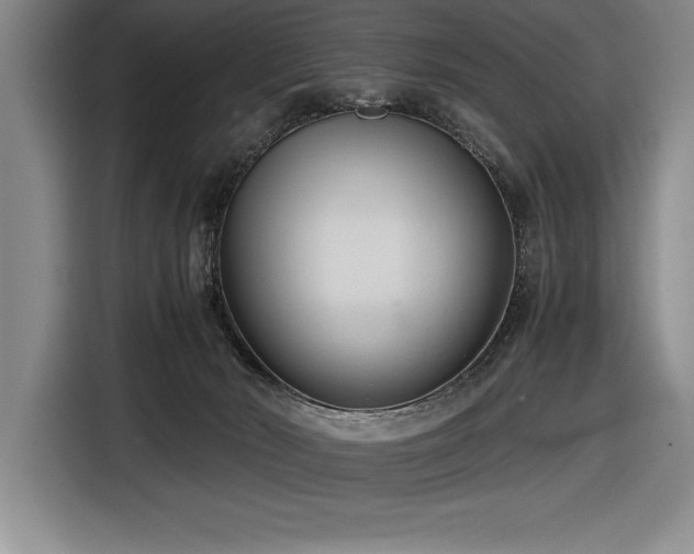 X0000116680030200912141441