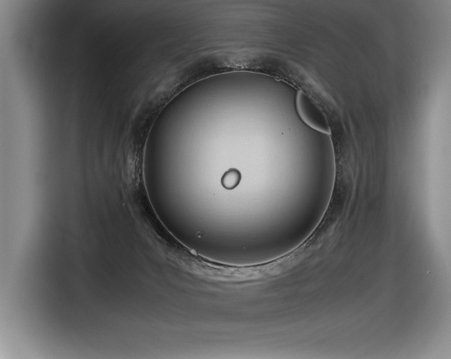 X0000116680031200912141441