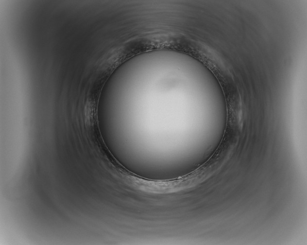 X0000116680034200912141441