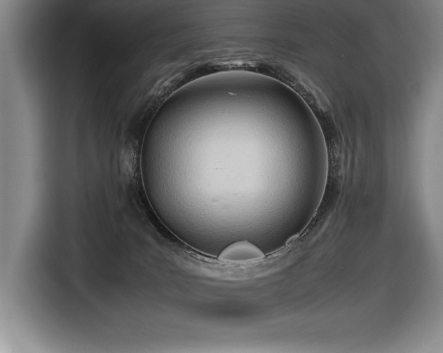 X0000116680035200912141441