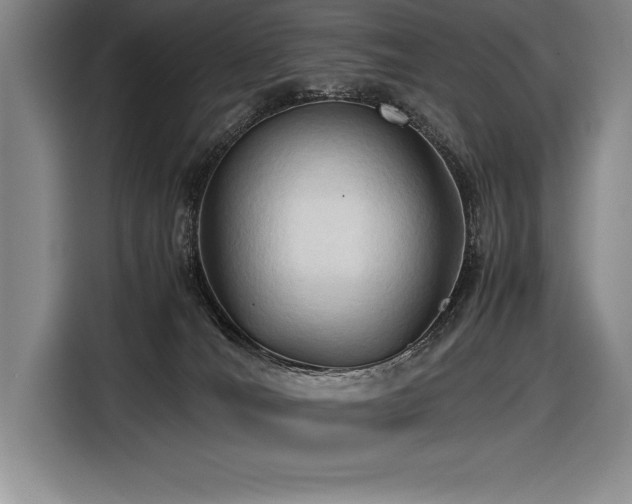 X0000116680036200912141441