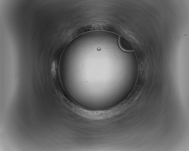 X0000116680038200912141441