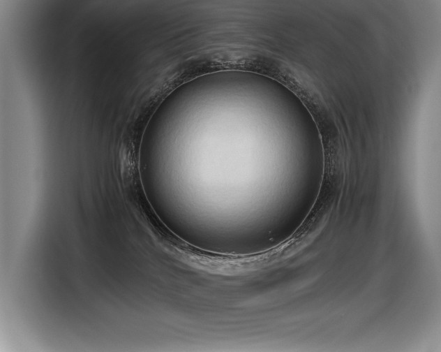 X0000116680040200912141441