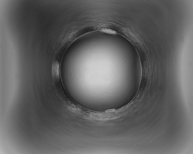 X0000116680041200912141441