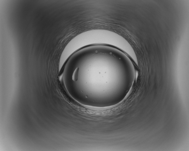 X0000116680043200912141441