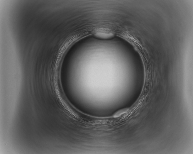 X0000116680049200912141440