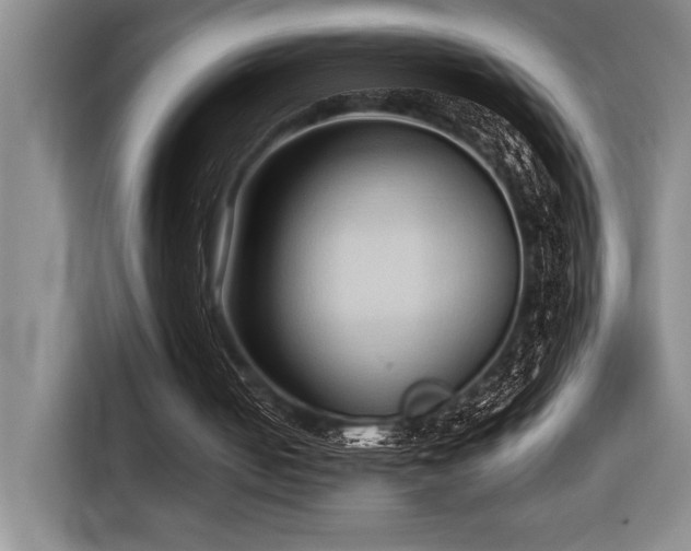 X0000116680050200912141440