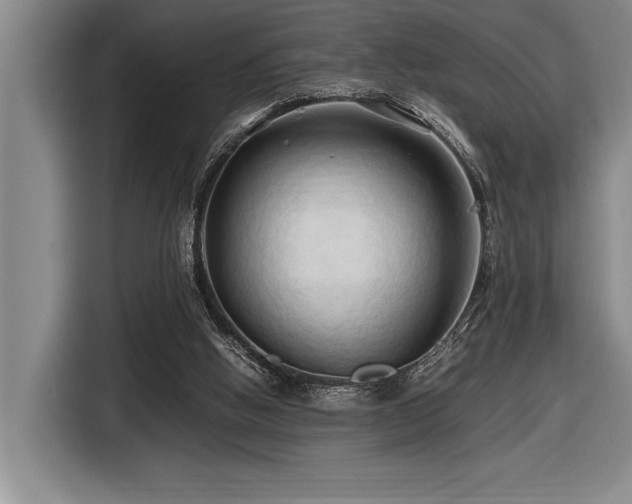 X0000116680058200912141440