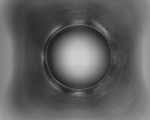 X0000116680059200912141440