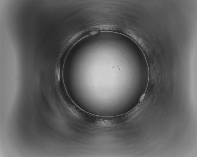 X0000116680062200912141440