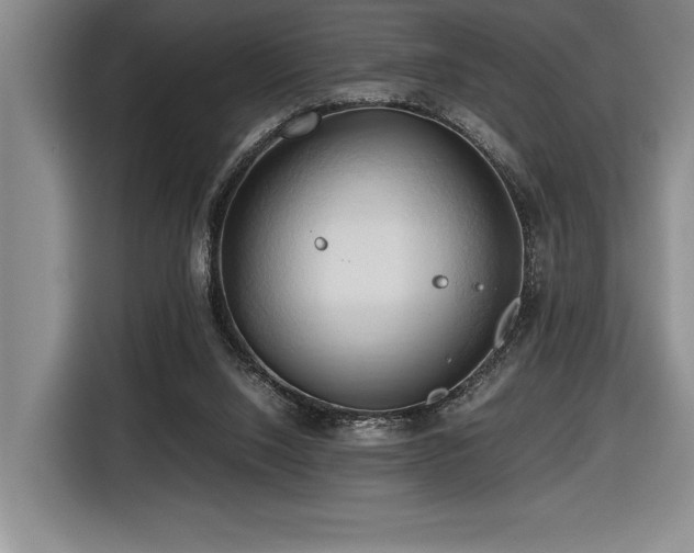 X0000116680064200912141440