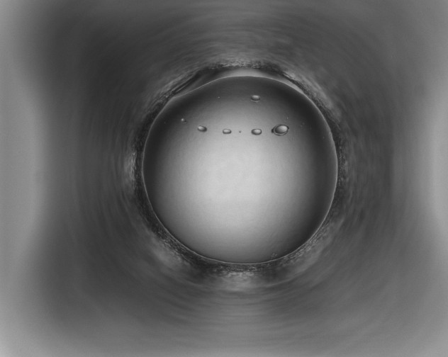 X0000116680066200912141440