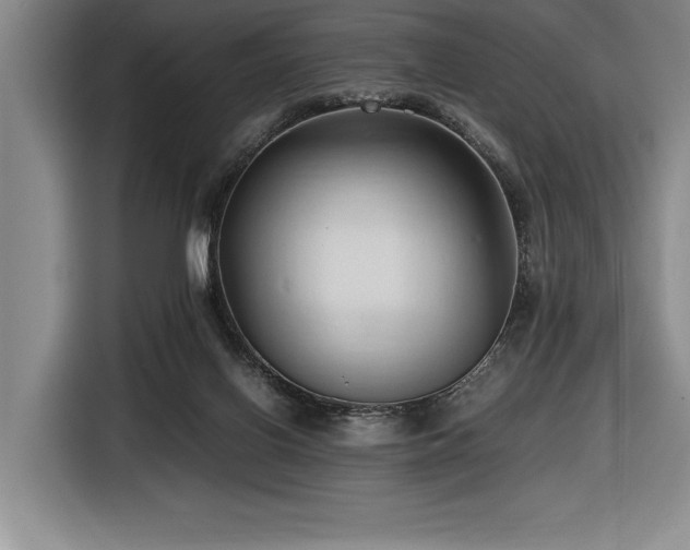 X0000116680070200912141440