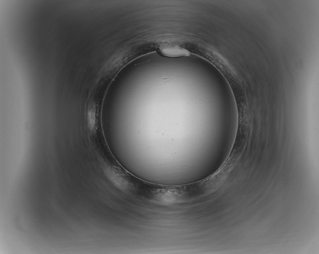 X0000116680074200912141440