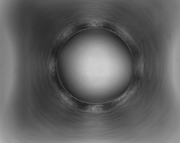 X0000116680078200912141440