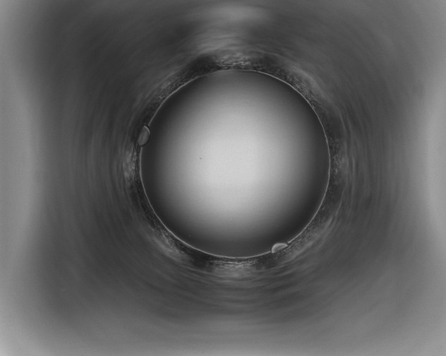 X0000116680081200912141440